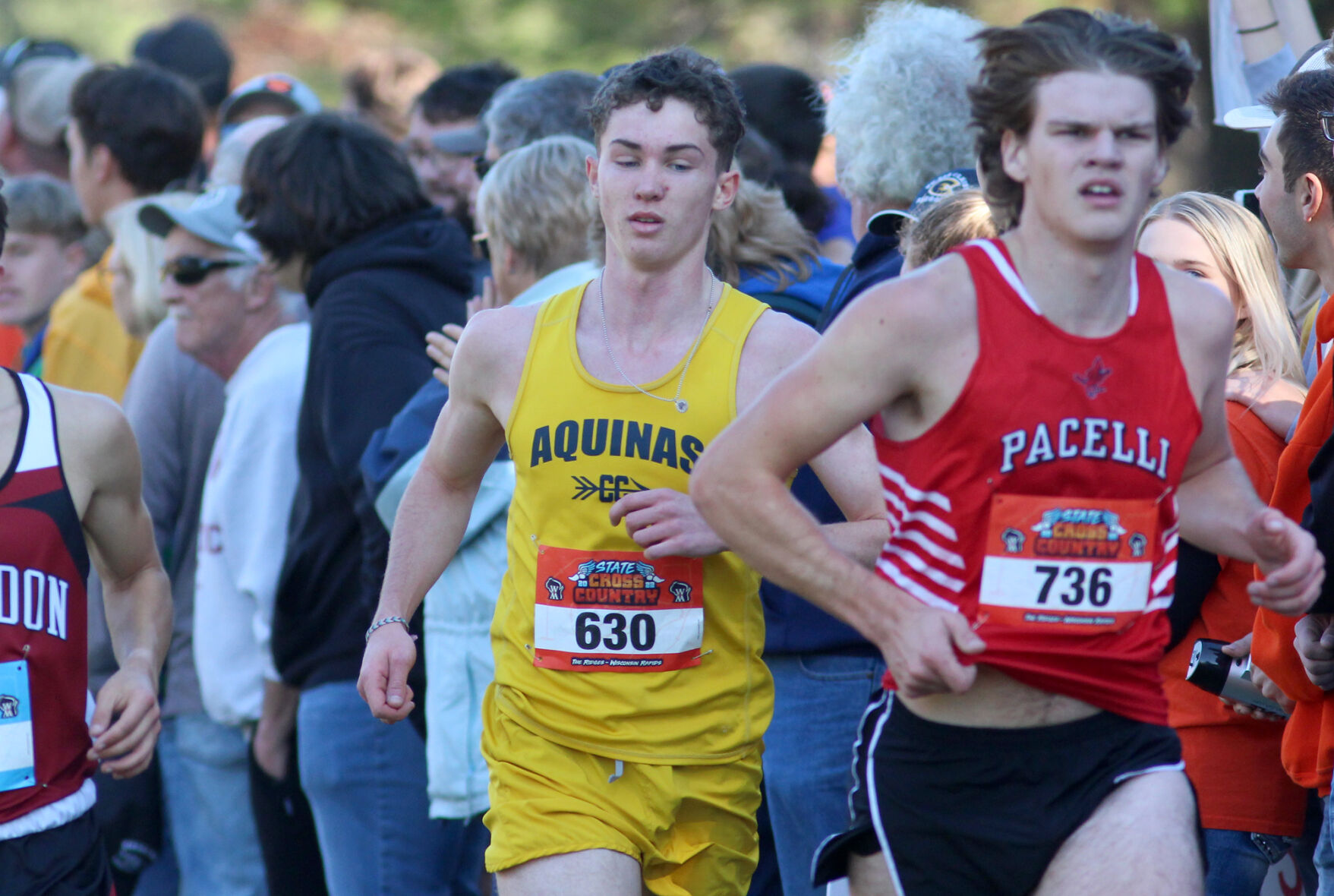 WIAA State Cross Country Championships 10-29-22